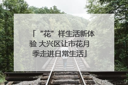 “花”样生活新体验 大兴区让市花月季走进日常生活