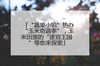 “蔬果小镇”热办“玉米奇遇季”，玉米田里的“迷宫王国”等您来探索