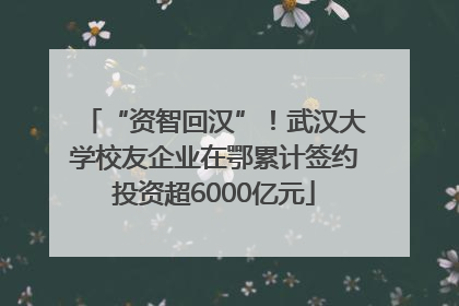 “资智回汉”！武汉大学校友企业在鄂累计签约投资超6000亿元