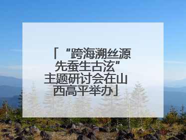 “跨海溯丝源 先蚕生古泫”主题研讨会在山西高平举办