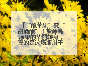“酸苹果”变“甜酒酿”！盐源高原果的华丽转身，靠的是这场浙川千里“联姻”