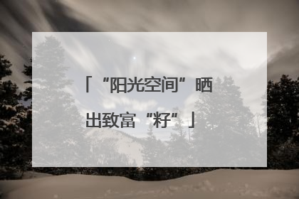 “阳光空间”晒出致富“籽”