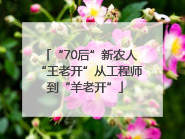 “70后”新农人“王老开”从工程师到“羊老开”