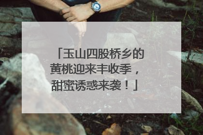 玉山四股桥乡的黄桃迎来丰收季，甜蜜诱惑来袭！