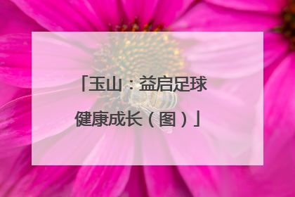 玉山：益启足球 健康成长（图）