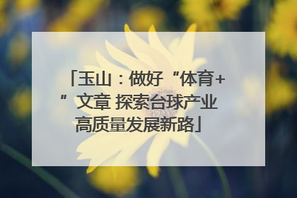 玉山：做好“体育+”文章 探索台球产业高质量发展新路
