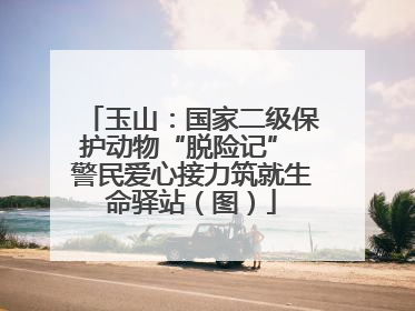 玉山：国家二级保护动物“脱险记” 警民爱心接力筑就生命驿站（图）