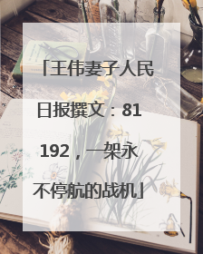 王伟妻子人民日报撰文：81192，一架永不停航的战机