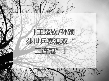 王楚钦/孙颖莎世乒赛混双“三连冠”