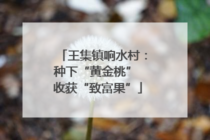 王集镇响水村：种下“黄金桃” 收获“致富果”