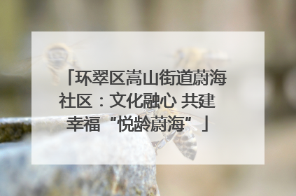 环翠区嵩山街道蔚海社区：文化融心 共建幸福“悦龄蔚海”