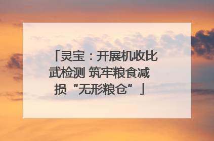 灵宝：开展机收比武检测 筑牢粮食减损“无形粮仓”