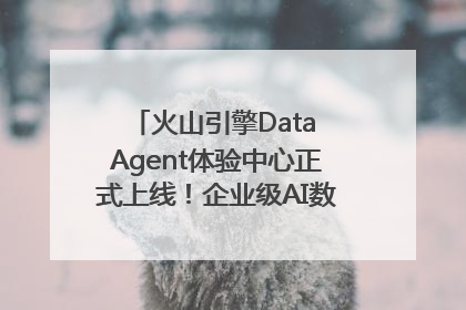 火山引擎Data Agent体验中心正式上线！企业级AI数据专家触手可及