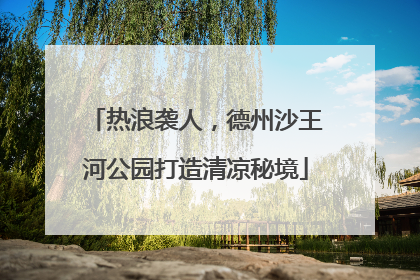 热浪袭人，德州沙王河公园打造清凉秘境