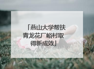 燕山大学帮扶青龙花厂峪村取得新成效