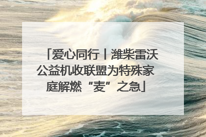 爱心同行丨潍柴雷沃公益机收联盟为特殊家庭解燃“麦”之急