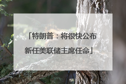 特朗普：将很快公布新任美联储主席任命