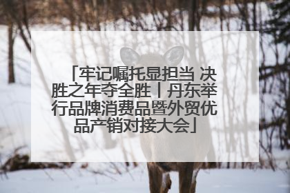牢记嘱托显担当 决胜之年夺全胜丨丹东举行品牌消费品暨外贸优品产销对接大会