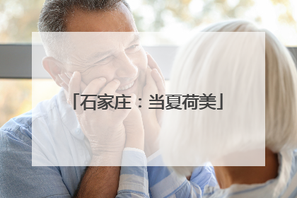 石家庄：当夏荷美