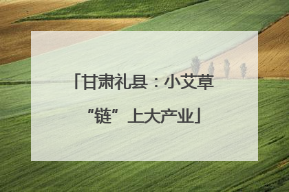 甘肃礼县：小艾草“链”上大产业