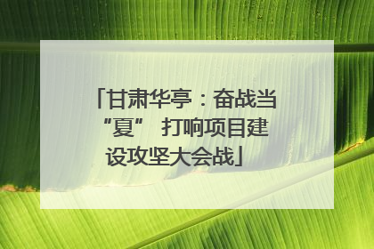 甘肃华亭:奋战当“夏” 打响项目建设攻坚大会战