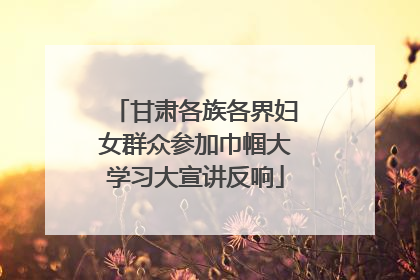 甘肃各族各界妇女群众参加巾帼大学习大宣讲反响
