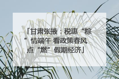 甘肃张掖：税惠“粽”情端午 看政策春风点“燃”假期经济