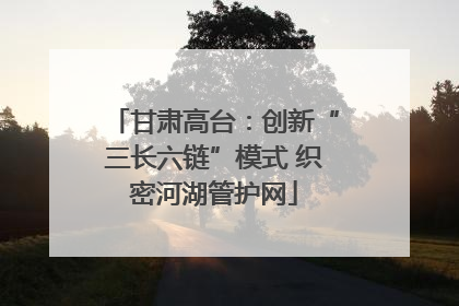 甘肃高台：创新“三长六链”模式 织密河湖管护网