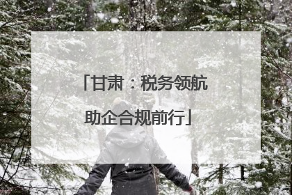 甘肃：税务领航 助企合规前行