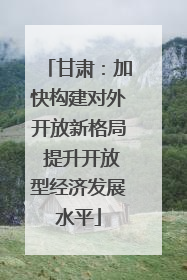 甘肃：加快构建对外开放新格局 提升开放型经济发展水平