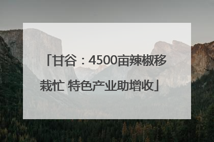 甘谷：4500亩辣椒移栽忙 特色产业助增收