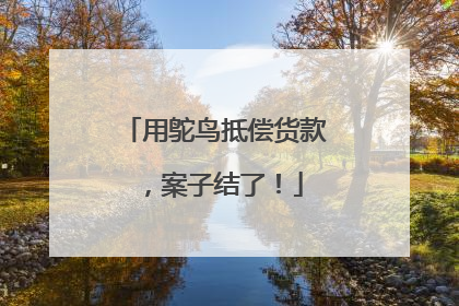 用鸵鸟抵偿货款，案子结了！