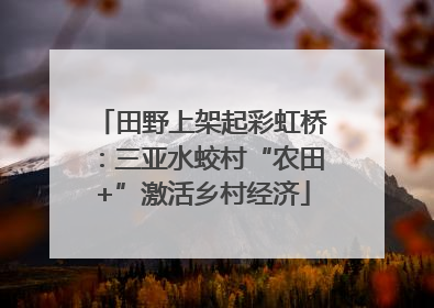 田野上架起彩虹桥：三亚水蛟村“农田+”激活乡村经济
