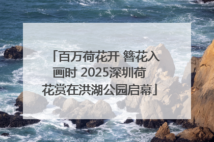 百万荷花开 簪花入画时 2025深圳荷花赏在洪湖公园启幕