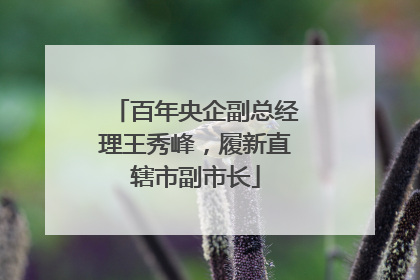 百年央企副总经理王秀峰，履新直辖市副市长