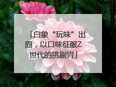白象“玩味”出圈，以口味征服Z世代的挑剔胃