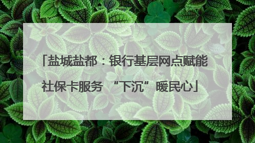 盐城盐都：银行基层网点赋能 社保卡服务 “下沉”暖民心