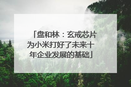 盘和林：玄戒芯片为小米打好了未来十年企业发展的基础