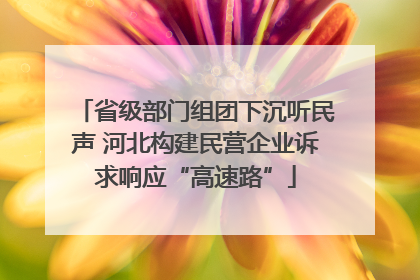 省级部门组团下沉听民声 河北构建民营企业诉求响应“高速路”