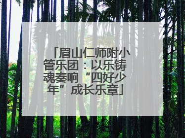 眉山仁师附小管乐团：以乐铸魂奏响“四好少年”成长乐章