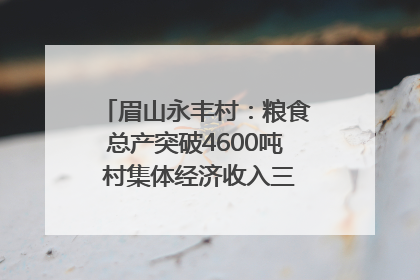 眉山永丰村：粮食总产突破4600吨 村集体经济收入三年倍增｜牵挂的村