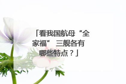 看我国航母“全家福” 三舰各有哪些特点？
