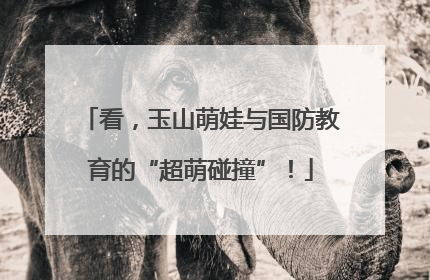 看，玉山萌娃与国防教育的“超萌碰撞”！
