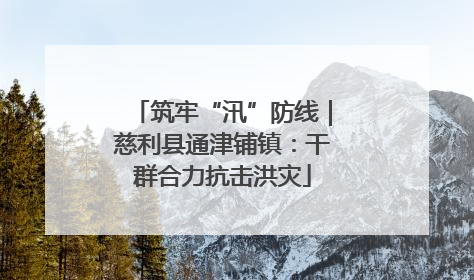 筑牢“汛”防线｜慈利县通津铺镇：干群合力抗击洪灾