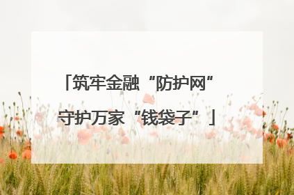 筑牢金融“防护网” 守护万家“钱袋子”