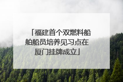 福建首个双燃料船舶船员培养见习点在厦门挂牌成立