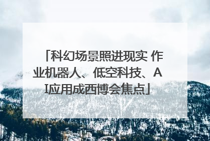 科幻场景照进现实 作业机器人、低空科技、AI应用成西博会焦点