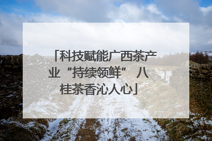 科技赋能广西茶产业“持续领鲜” 八桂茶香沁人心