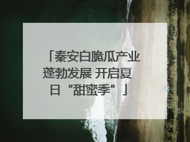 秦安白脆瓜产业蓬勃发展 开启夏日“甜蜜季”