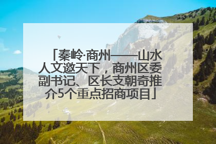 秦岭·商州——山水人文邀天下，商州区委副书记、区长支朝奇推介5个重点招商项目